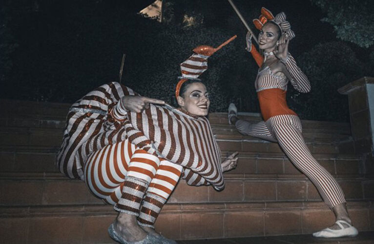 WILLY-WONKA-E-LA-FABBRICA-DI-CIOCCOLATO-ANIMAZIONE-FESTE-OPERA-CIRCUS-ANIMATIONS-JANE-GROTA-DA-CRUZ-7